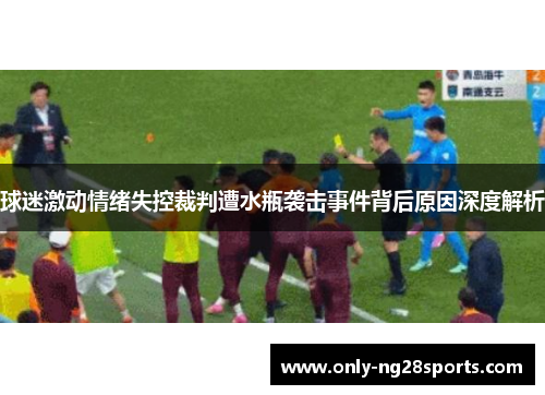 球迷激动情绪失控裁判遭水瓶袭击事件背后原因深度解析