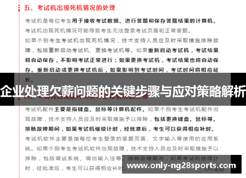 企业处理欠薪问题的关键步骤与应对策略解析