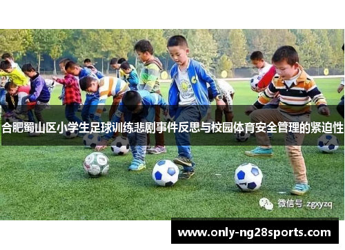 合肥蜀山区小学生足球训练悲剧事件反思与校园体育安全管理的紧迫性