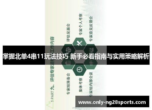掌握北单4串11玩法技巧 新手必看指南与实用策略解析