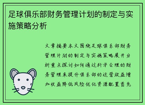 足球俱乐部财务管理计划的制定与实施策略分析