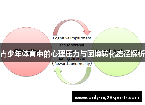 青少年体育中的心理压力与困境转化路径探析